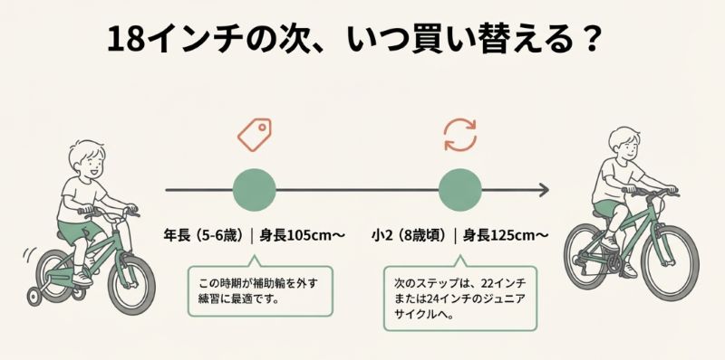 年長（5-6歳・105cm〜）での購入から、小2（8歳頃・125cm〜）での買い替えまでの時系列を示した図。補助輪卒業時期と、次は22/24インチへステップアップする流れを説明したスライド。